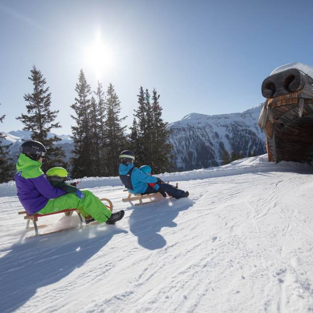 Rodeln Rodelbahn Serfaus